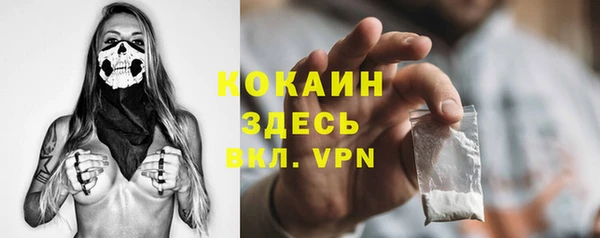 твердый Аркадак
