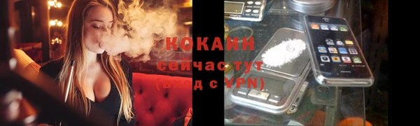 прущие грибы Армянск