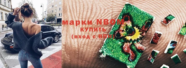 прущие грибы Армянск